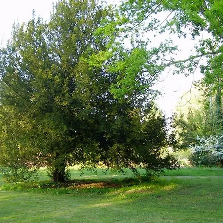 ベッド・アンド・ブレックファスト D'hotes Le Pont