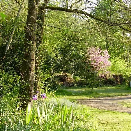 Bed and Breakfast D'hotes Le Pont 3*