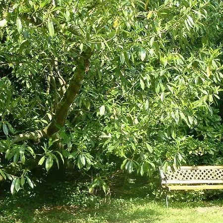 Bed and Breakfast D'hotes Le Pont 3*