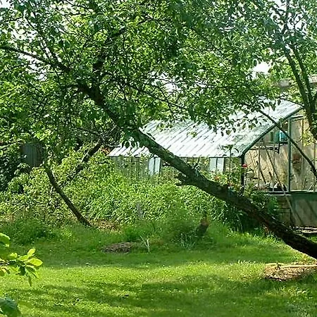 D'hotes Le Pont Bed & Breakfast Montfort-le-Gesnois