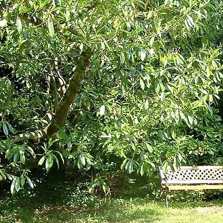 D'hotes Le Pont Bed & Breakfast Montfort-le-Gesnois