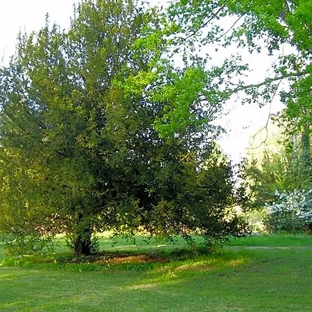 Bed & Breakfast D'hotes Le Pont 3*